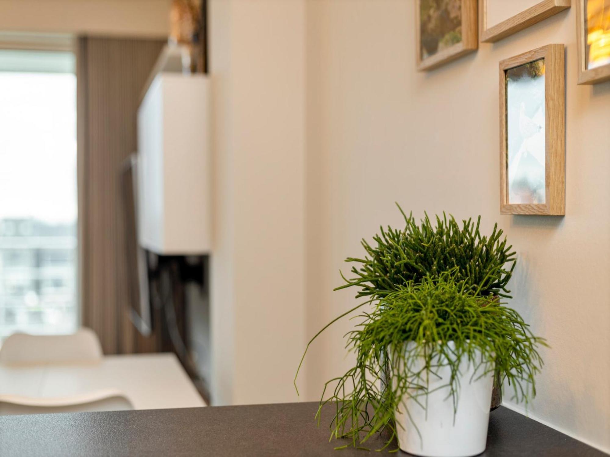San Michele In Appartement *